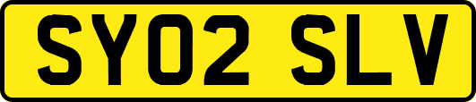 SY02SLV