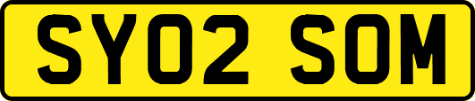 SY02SOM