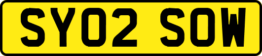 SY02SOW
