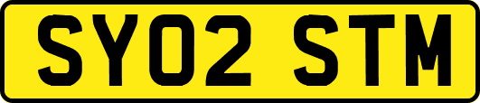 SY02STM