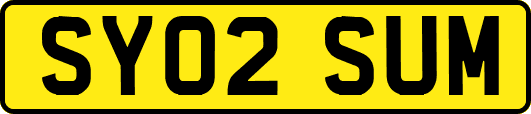 SY02SUM