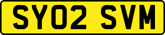 SY02SVM