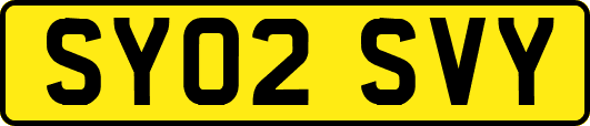 SY02SVY