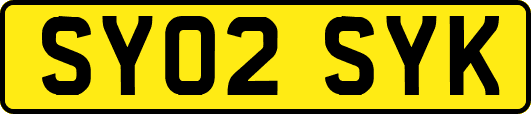 SY02SYK