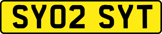 SY02SYT