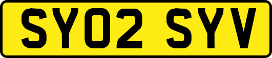 SY02SYV