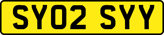 SY02SYY
