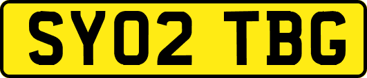 SY02TBG