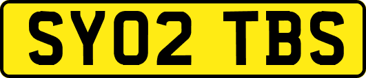 SY02TBS