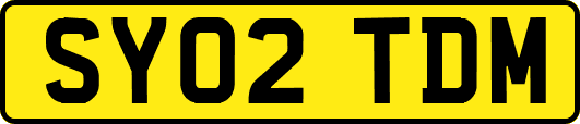 SY02TDM
