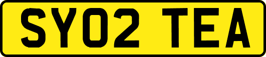 SY02TEA
