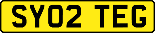 SY02TEG