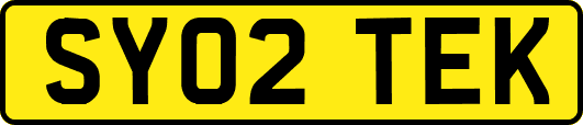 SY02TEK