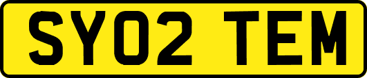 SY02TEM
