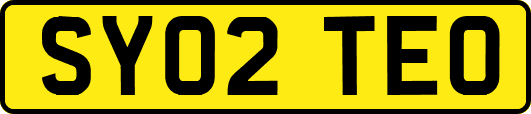 SY02TEO