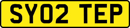 SY02TEP