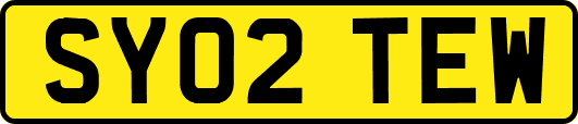 SY02TEW