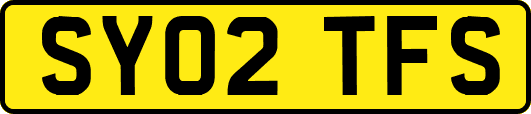 SY02TFS