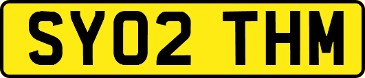 SY02THM