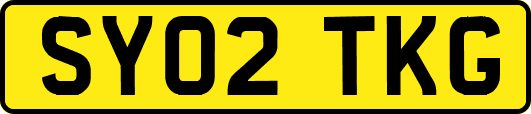 SY02TKG