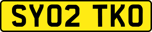 SY02TKO