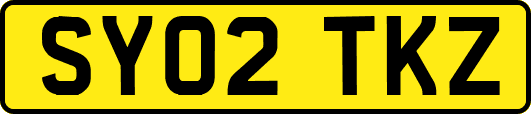 SY02TKZ
