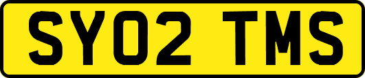 SY02TMS