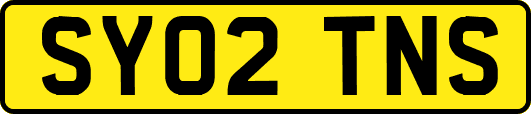 SY02TNS