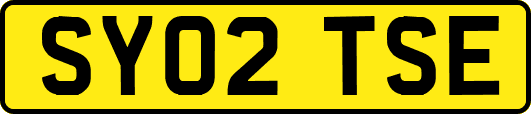 SY02TSE