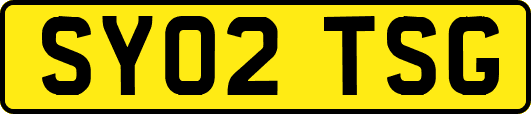 SY02TSG