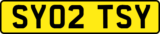 SY02TSY