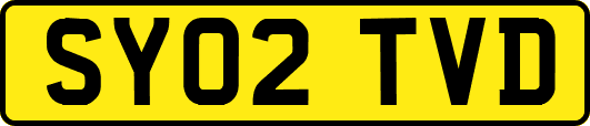 SY02TVD