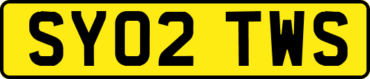SY02TWS