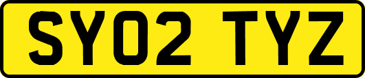 SY02TYZ