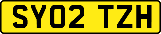 SY02TZH