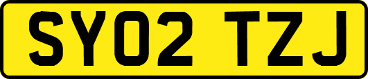 SY02TZJ