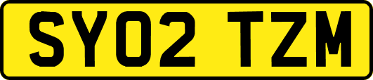 SY02TZM