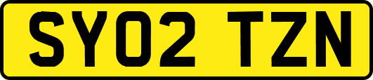 SY02TZN