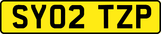 SY02TZP