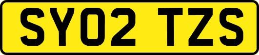 SY02TZS