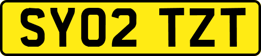 SY02TZT