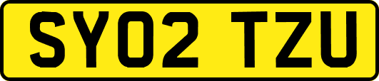SY02TZU
