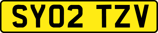 SY02TZV