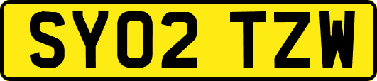 SY02TZW