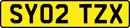 SY02TZX