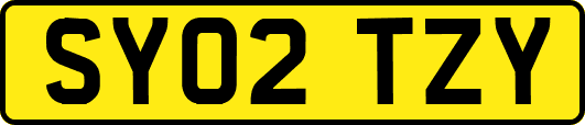 SY02TZY