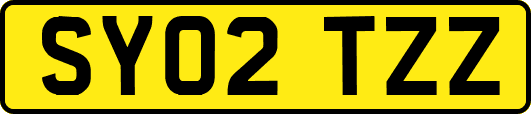 SY02TZZ