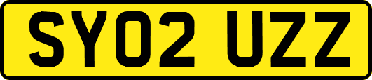 SY02UZZ