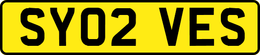 SY02VES