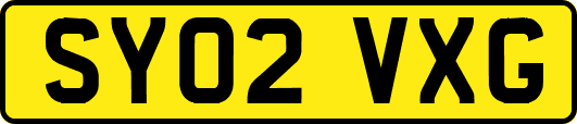 SY02VXG